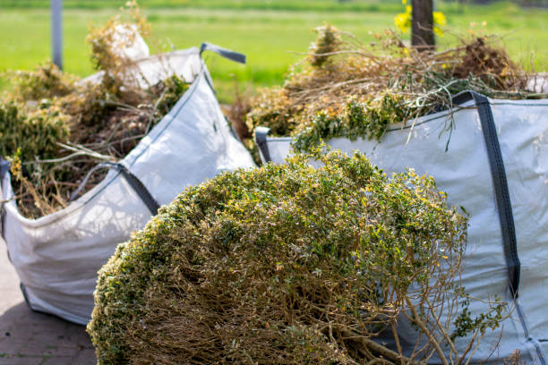 Best Carpet Removal and Disposal  in Davisboro, GA
